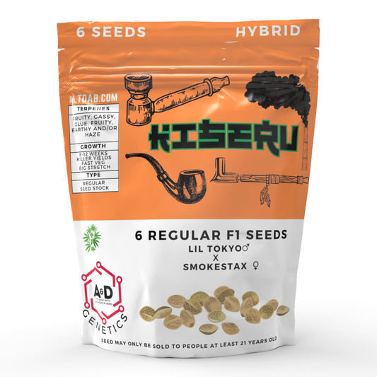 Kiseru | 6 Regular Seeds