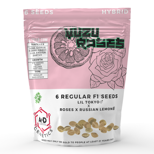 Yuzu Roses | 6 Regular Seeds