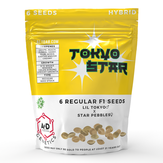 Tokyo Star | 6 Regular Seeds